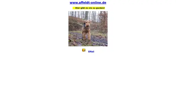 affeldt-online.de