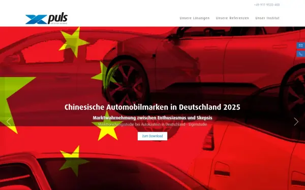 www.puls-marktforschung.de