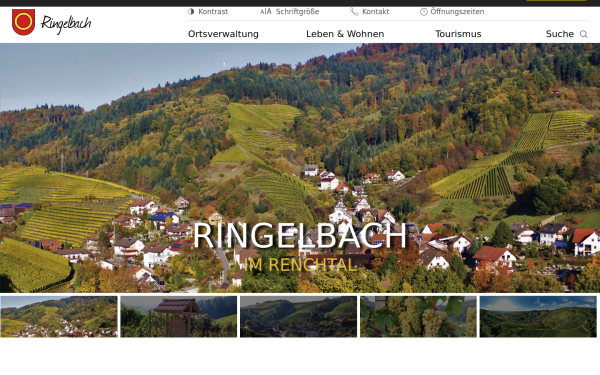 ringelbach.de