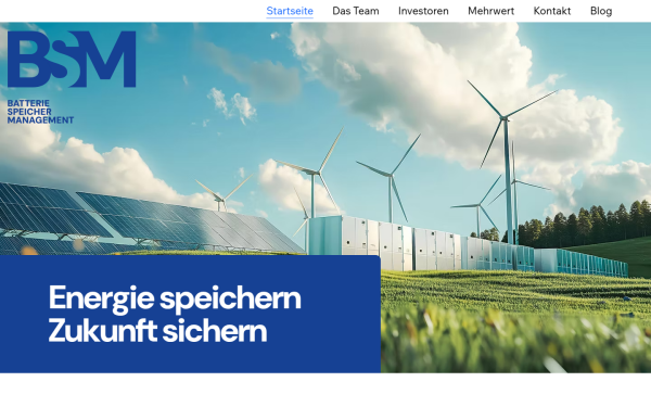 www.bsm-austria.at