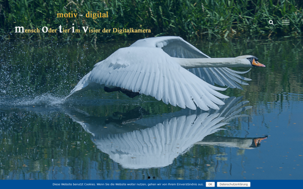 www.motiv-digital.de