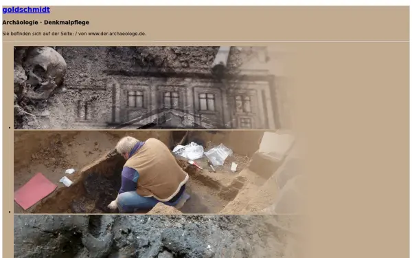 www.der-archaeologe.de