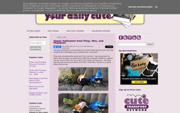 www.yourdailycute.com