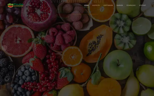 www.dis-fruta.de