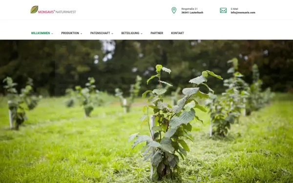 www.monsavis.com