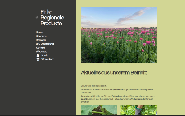 www.fink-regional.at