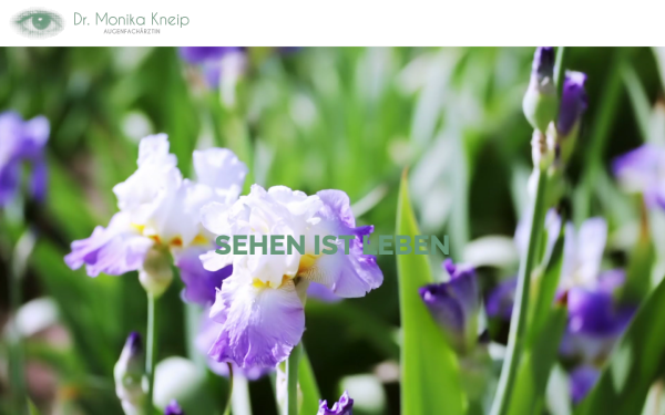 www.dr-kneip.de