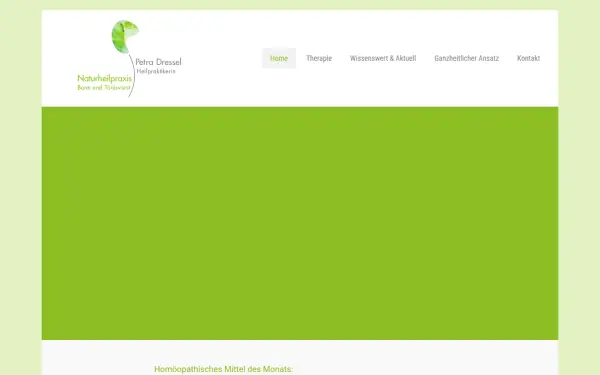 heilpraxis-dressel.de