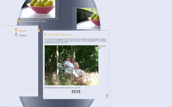 hans-joachimhaase.de