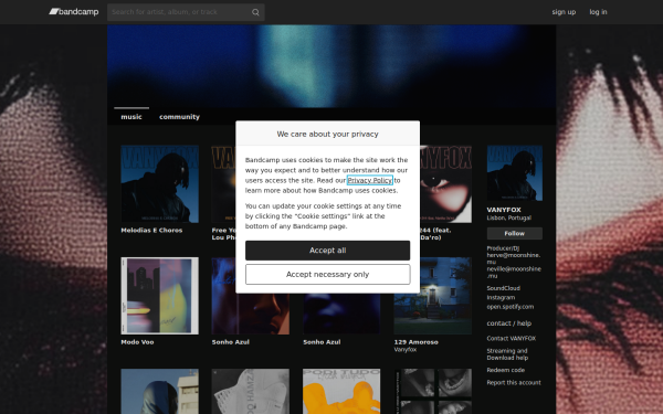 vanyfox.bandcamp.com