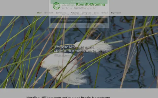 psychotherapie-bruening.de