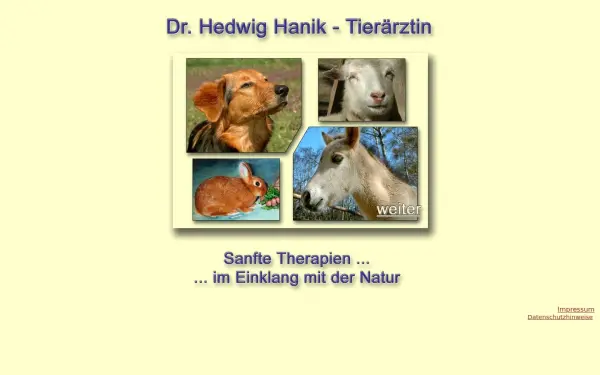 drhanik.de