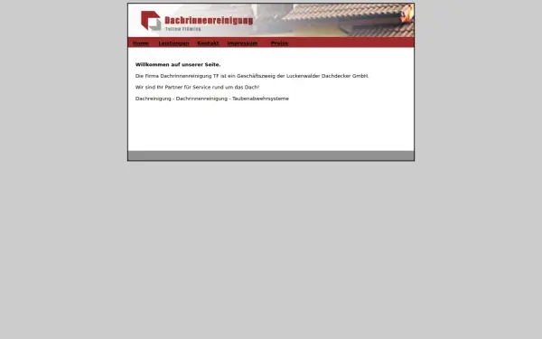 dachrinnenreinigung-tf.de