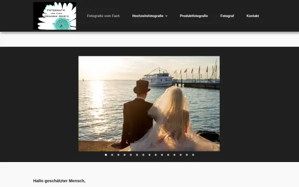 hendrik-mertz.de