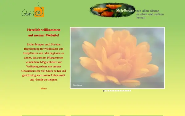 astrid-fiebich.de