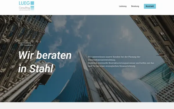 lueg-consulting.de