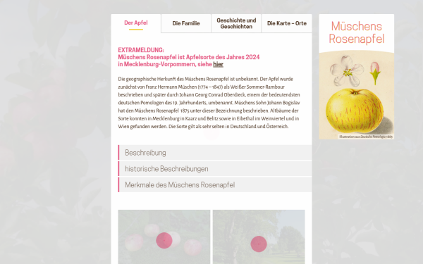 www.mueschens-rosenapfel.de