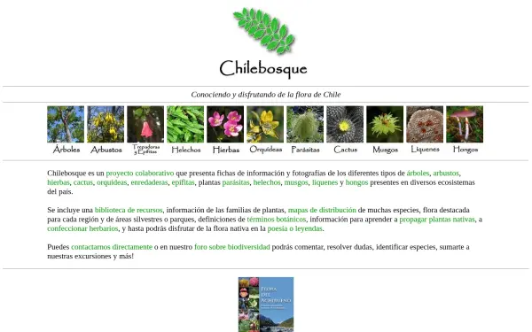 chilebosque.cl
