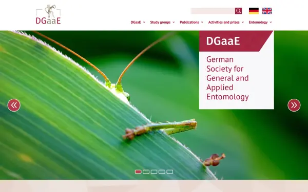www.dgaae.de