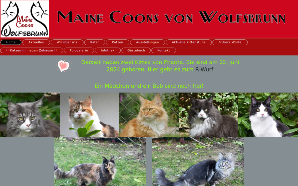 www.mainecoons-wolfsbrunn.at