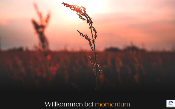 www.momentum-sk.de