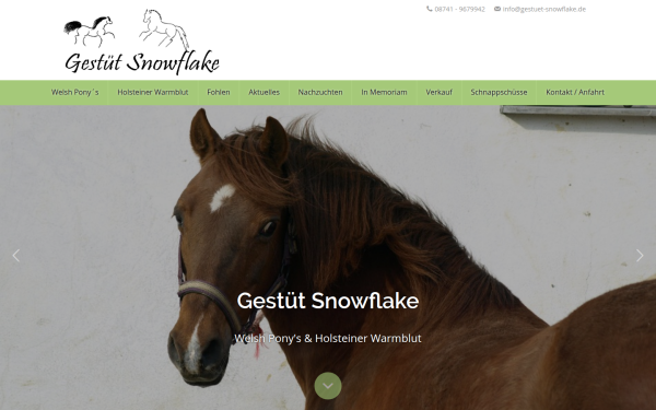 www.gestuet-snowflake.de