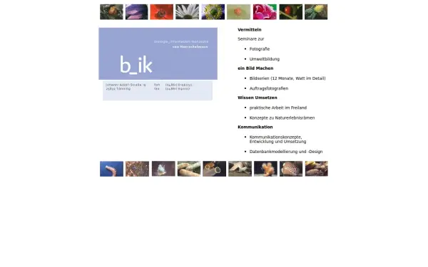 b-ik.de