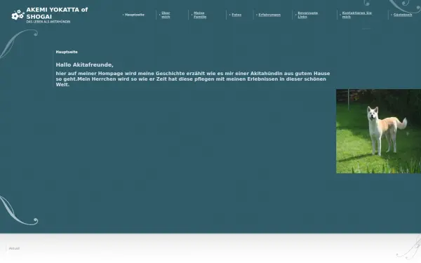akemi-web.de