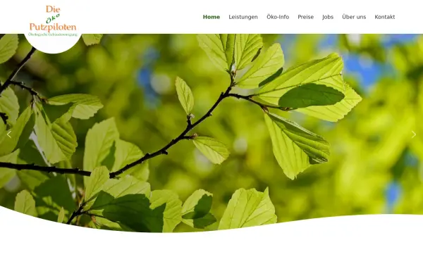 putzpiloten.de