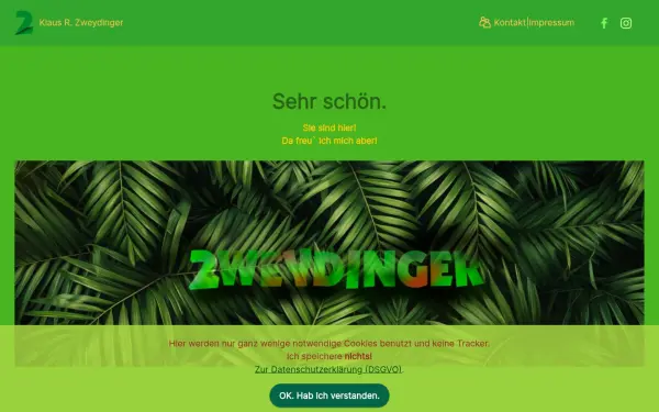zweydinger.de