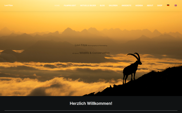 levifitze.ch