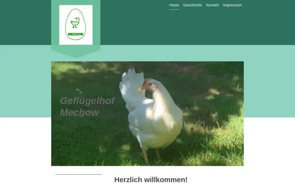 www.mechow.de