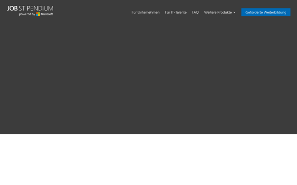 msjobstipendium.de
