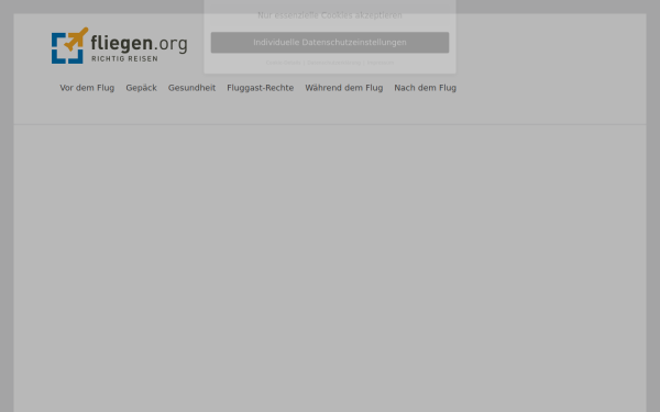 fliegen.org
