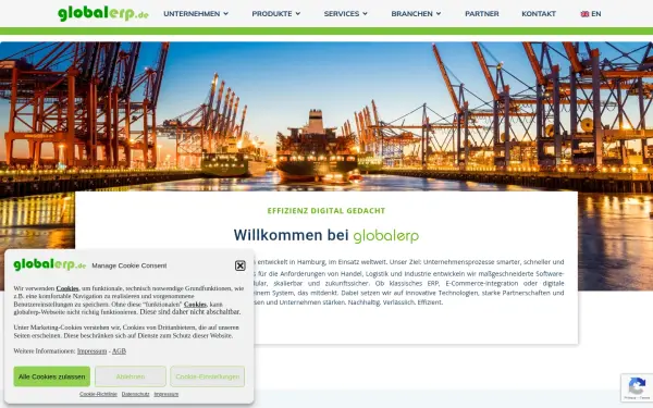 globalerp.de