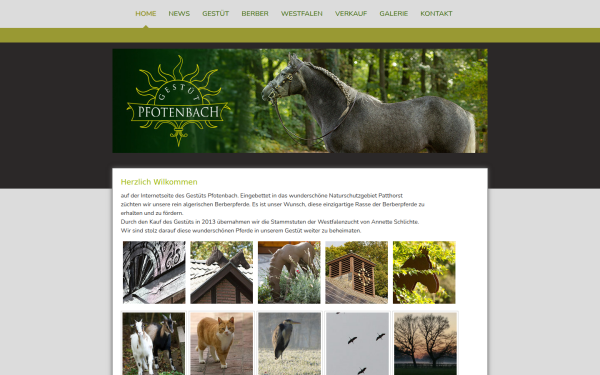 www.gestuet-pfotenbach.de