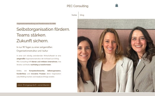 www.pec-consulting.com