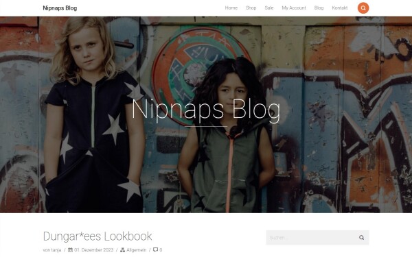 blog.nipnaps.ch