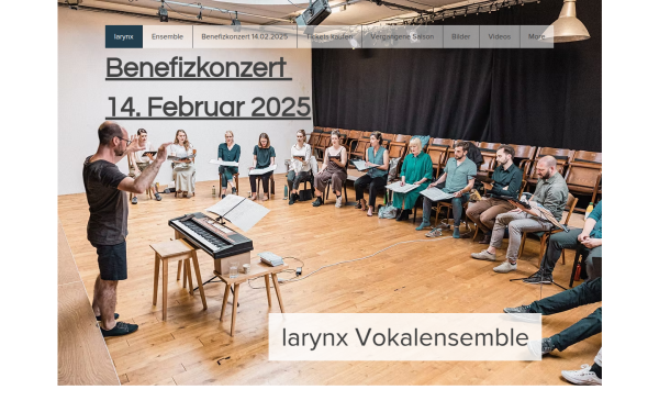 www.larynx-basel.ch