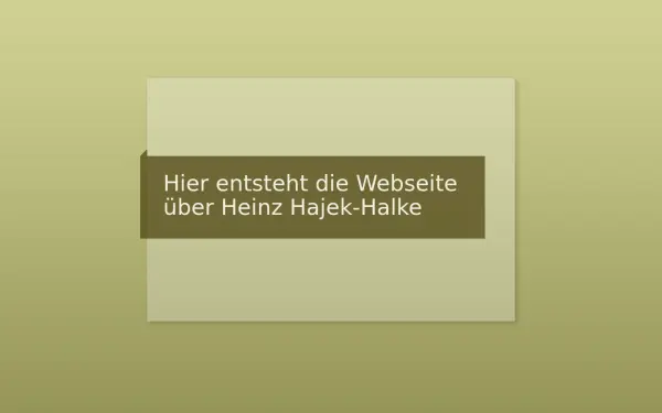 hajek-halke.com