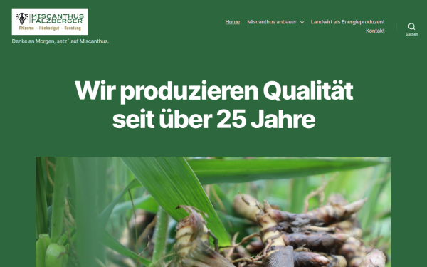 miscanthus.at
