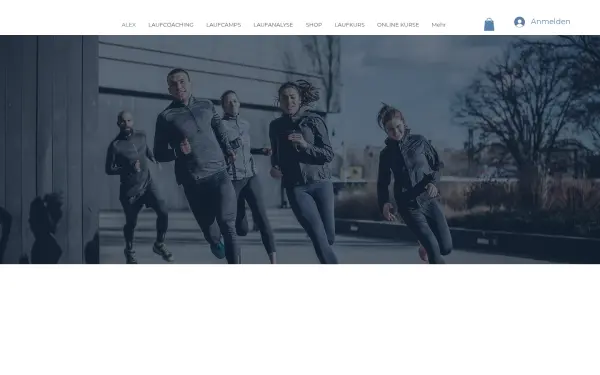 www.schnellerwerden.de
