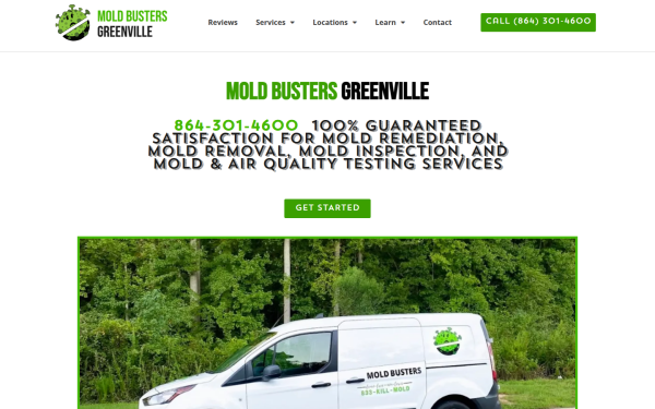 moldbustersc.com