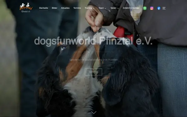 dogsfunworld.de