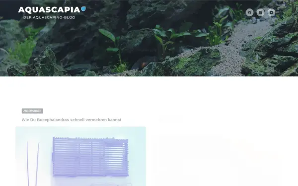 aquascapia.de