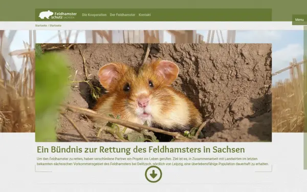 hamsterschutz-sachsen.de