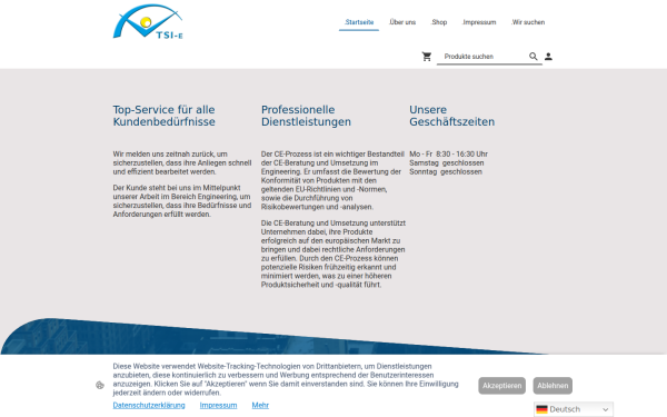 www.tsi-e.de
