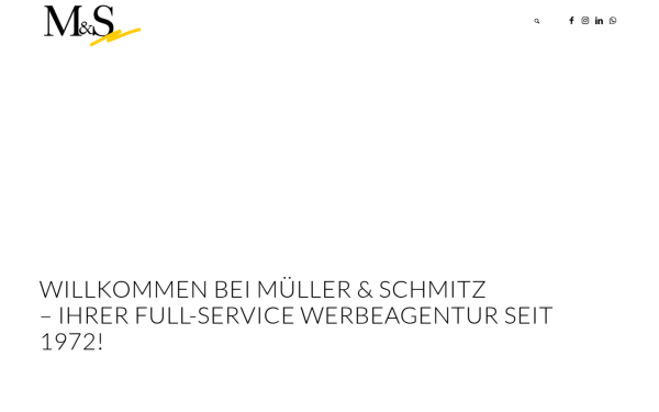 mueller-schmitz.de