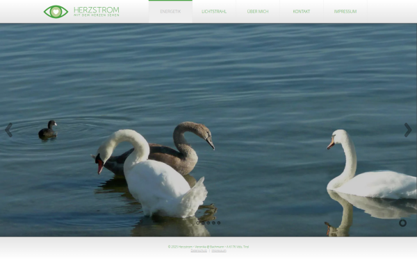 www.herzstrom.at