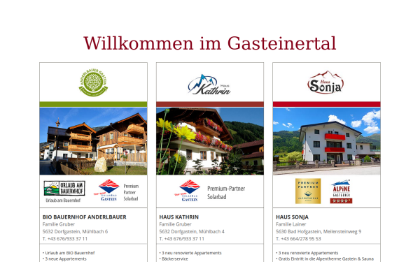 gruber-gastein.at